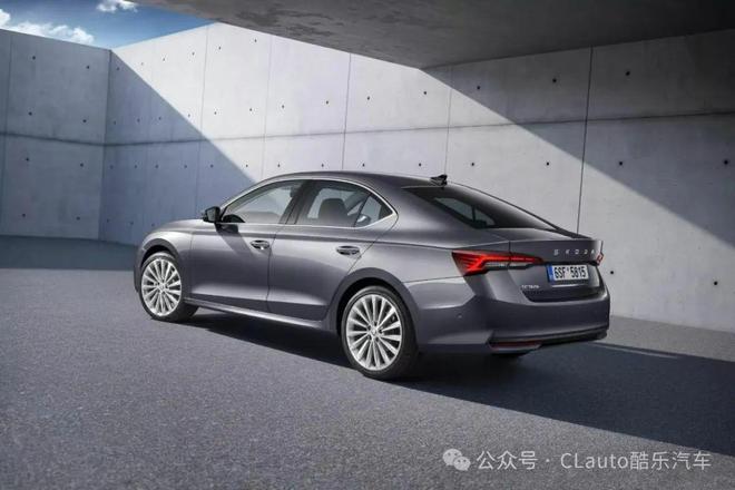 光荣之路上的狗