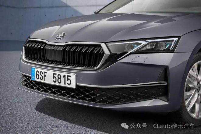 光荣之路上的狗