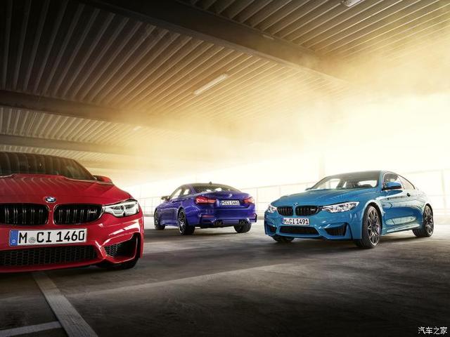 光荣之路上的狗