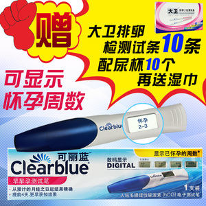 公路战争：狂怒