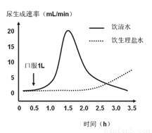 刀剑神域：剧场版序列争战