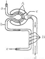 刀剑神域：剧场版序列争战