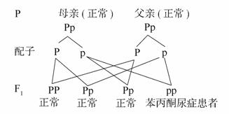 刀剑神域：剧场版序列争战
