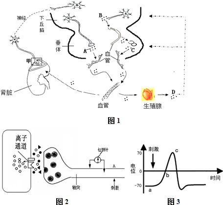 史泰登岛国王
