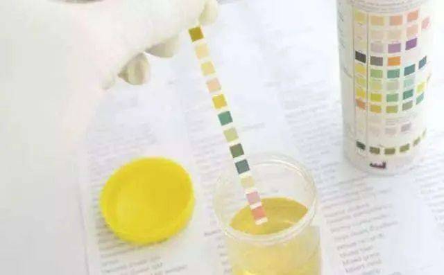 关于查理的真相