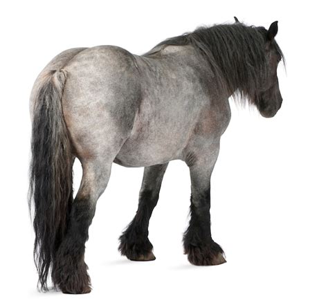 八十九分之一的凶手