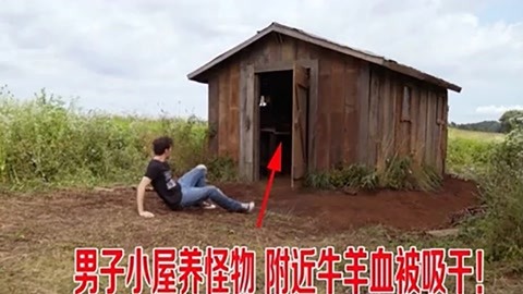 冰河世纪：巨蛋恶作剧