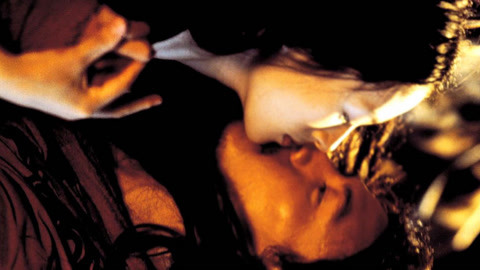 养家之人（原声版）