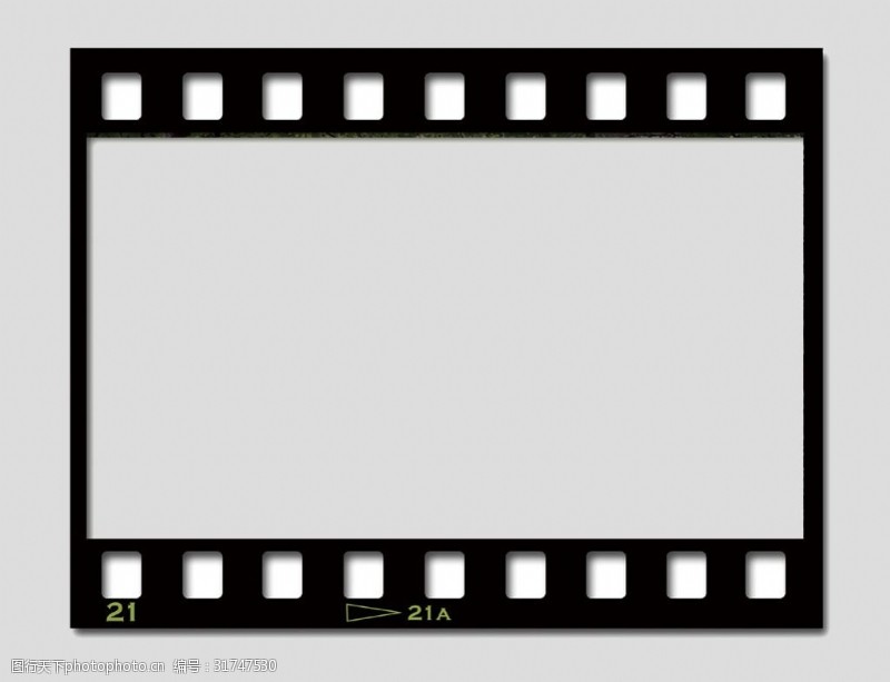 光荣之路上的狗