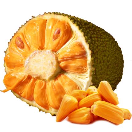 兰娅传奇（国语版）