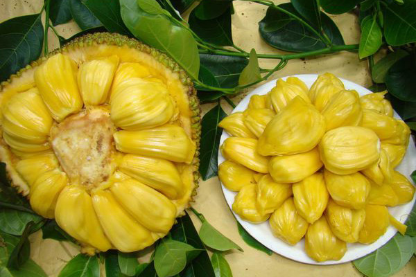 兴安岭猎人传说2