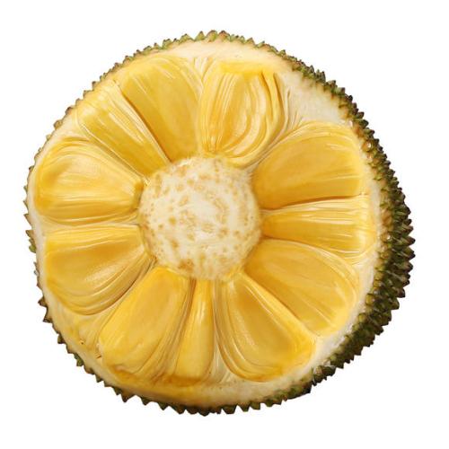 在你的世界爱上你