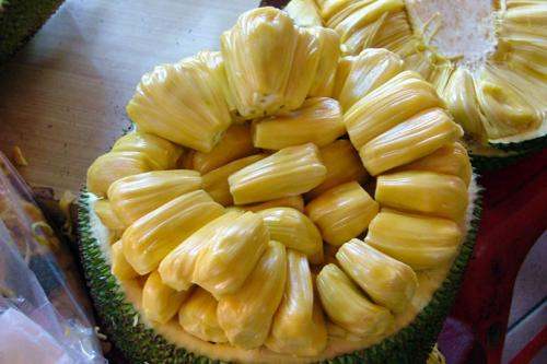 再见我们的十年