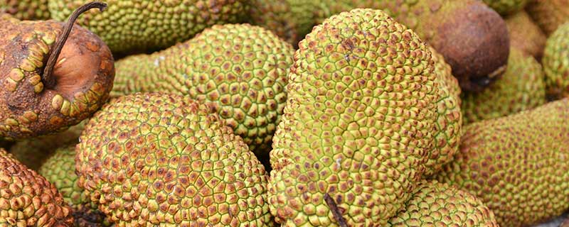 再见美人鱼（上部）