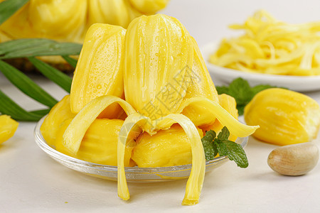 克莱拉与熊的秘密