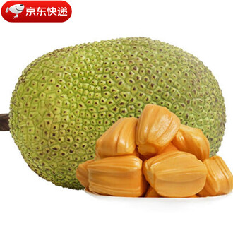 养鬼吃人4：血统